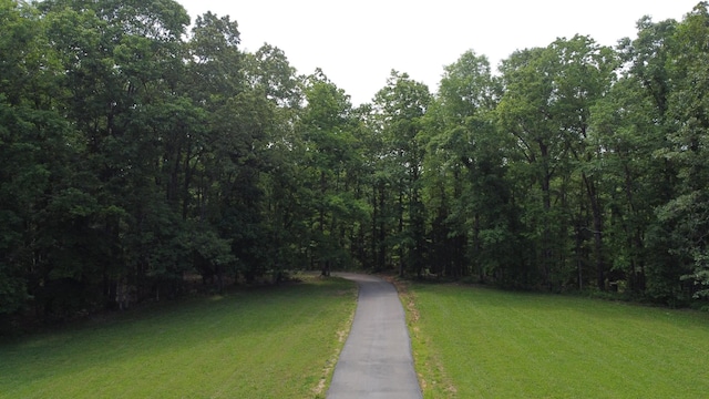 450 Lowe Branch Rd, Centerville, TN 37033 - view of road featuring a wooded view