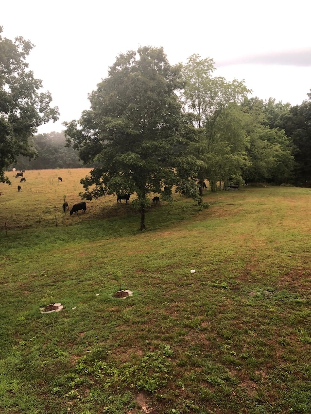 450 Lowe Branch Rd, Centerville, TN 37033 - view of green lawn featuring a view of countryside