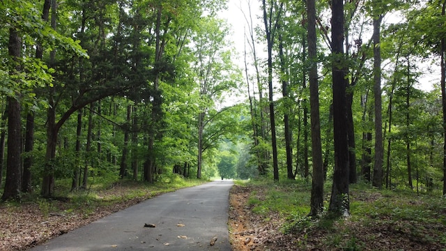 450 Lowe Branch Rd, Centerville, TN 37033 - view of street with a view of trees