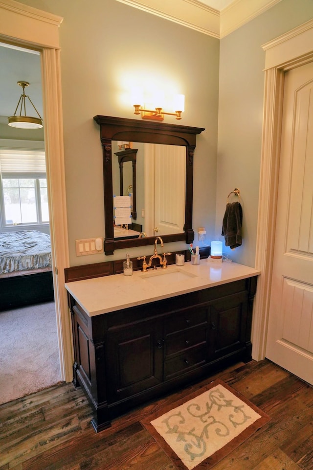 450 Lowe Branch Rd, Centerville, TN 37033 - ensuite bathroom with vanity, ornamental molding, and wood finished floors