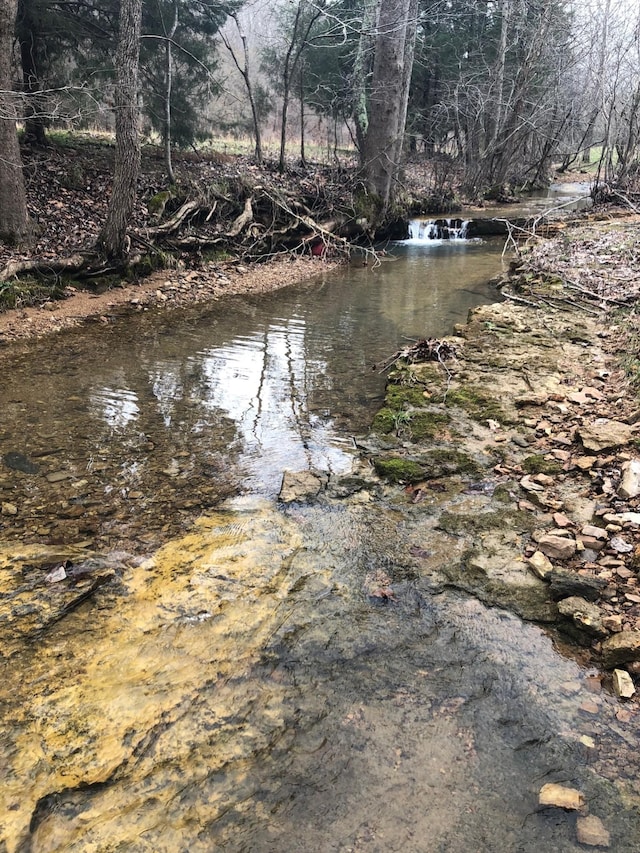 450 Lowe Branch Rd, Centerville, TN 37033 - water view
