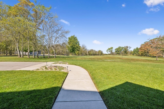 1249 Wilson School Rd, Chapel Hill, TN 37034 - view of home's community featuring a lawn