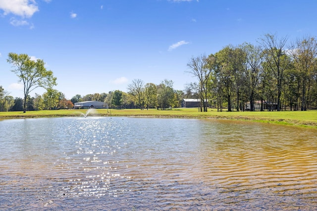 1249 Wilson School Rd, Chapel Hill, TN 37034 - water view