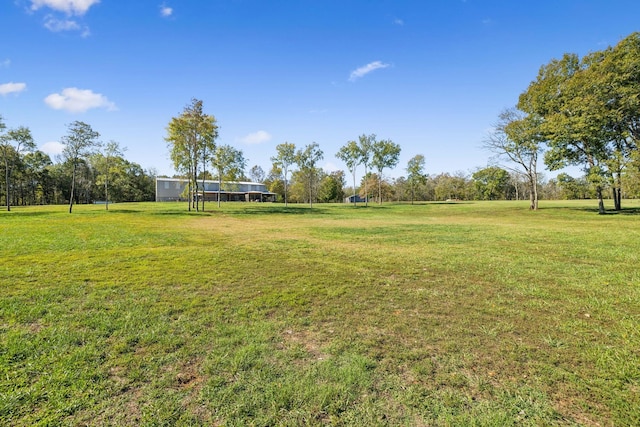 1249 Wilson School Rd, Chapel Hill, TN 37034 - view of green lawn