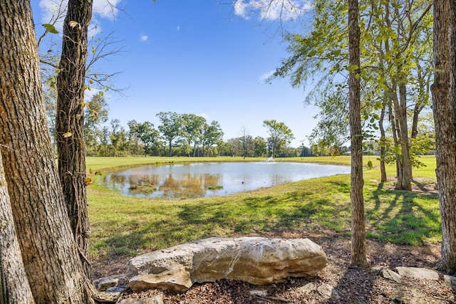 1249 Wilson School Rd, Chapel Hill, TN 37034 - water view