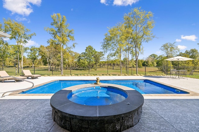 1249 Wilson School Rd, Chapel Hill, TN 37034 - view of swimming pool featuring a patio area and a pool with connected hot tub