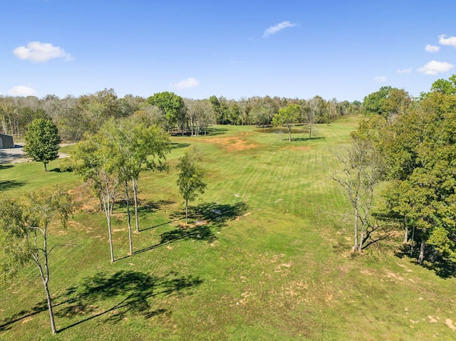 1249 Wilson School Rd, Chapel Hill, TN 37034 - view of yard