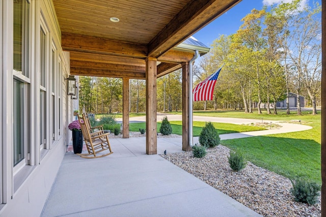 1249 Wilson School Rd, Chapel Hill, TN 37034 - view of patio