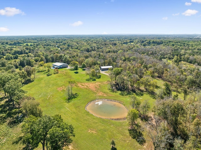 1249 Wilson School Rd, Chapel Hill, TN 37034 - aerial view of a heavily wooded area
