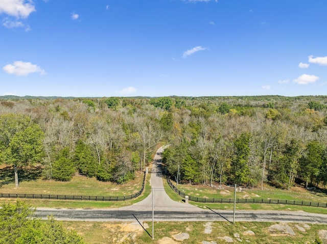 1249 Wilson School Rd, Chapel Hill, TN 37034 - bird's eye view of a heavily wooded area