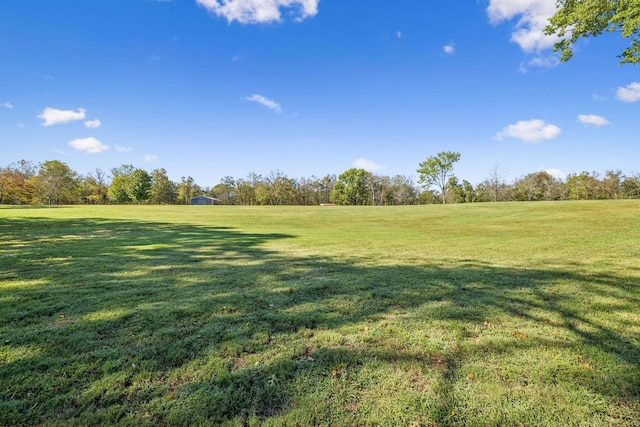 1249 Wilson School Rd, Chapel Hill, TN 37034 - view of green lawn featuring a rural view