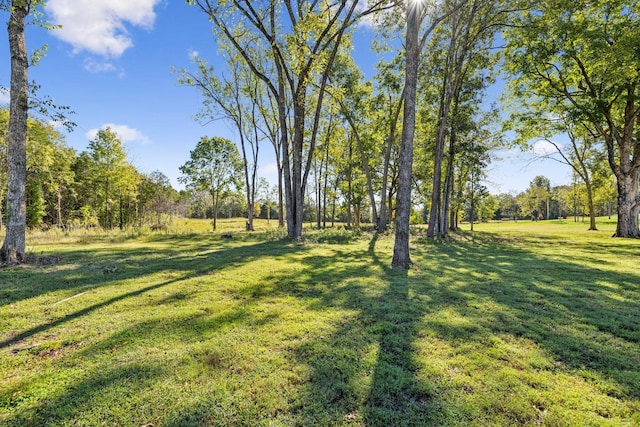 1249 Wilson School Rd, Chapel Hill, TN 37034 - view of green lawn
