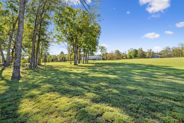 1249 Wilson School Rd, Chapel Hill, TN 37034 - view of green lawn