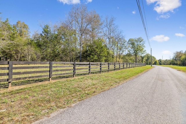 1249 Wilson School Rd, Chapel Hill, TN 37034 - view of asphalt road