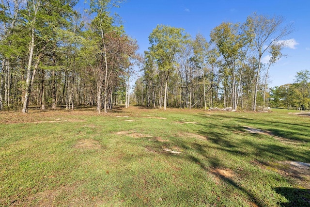 1249 Wilson School Rd, Chapel Hill, TN 37034 - view of grassy yard