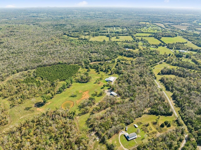 1249 Wilson School Rd, Chapel Hill, TN 37034 - aerial overview of property's location