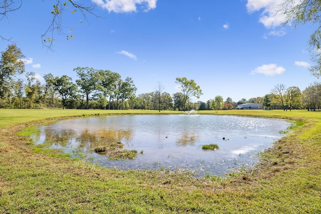 1249 Wilson School Rd, Chapel Hill, TN 37034 - water view