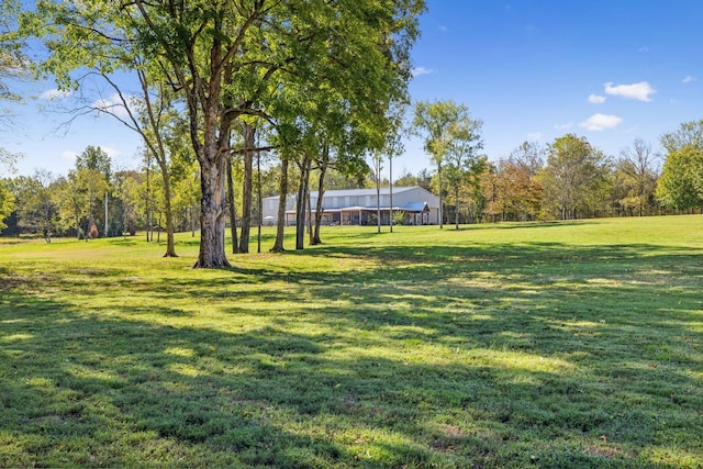 1249 Wilson School Rd, Chapel Hill, TN 37034 - view of grassy yard