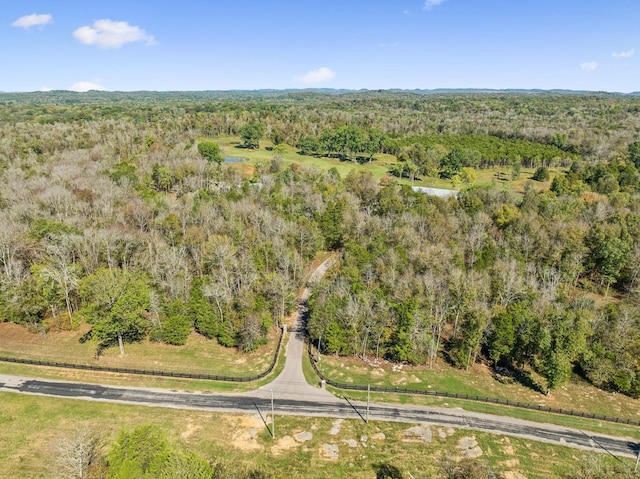 1249 Wilson School Rd, Chapel Hill, TN 37034 - bird's eye view of a heavily wooded area