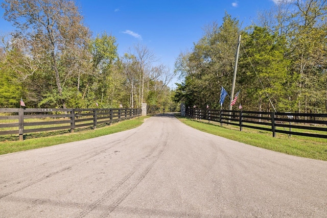 1249 Wilson School Rd, Chapel Hill, TN 37034 - view of street