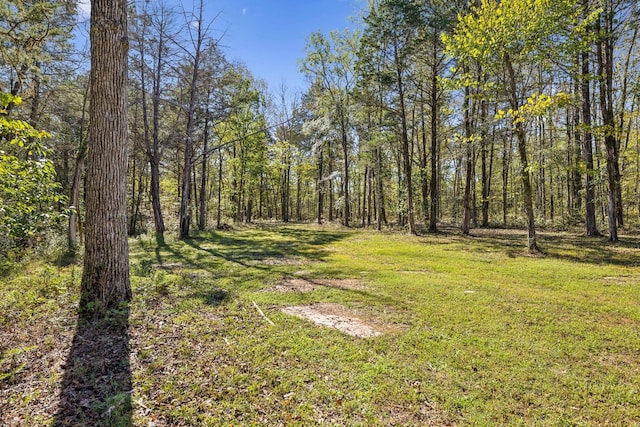 1249 Wilson School Rd, Chapel Hill, TN 37034 - view of grassy yard with a view of trees
