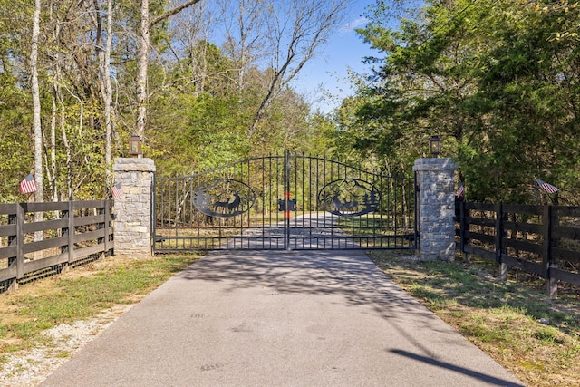 1249 Wilson School Rd, Chapel Hill, TN 37034 - view of gate
