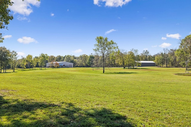 1249 Wilson School Rd, Chapel Hill, TN 37034 - view of grassy yard