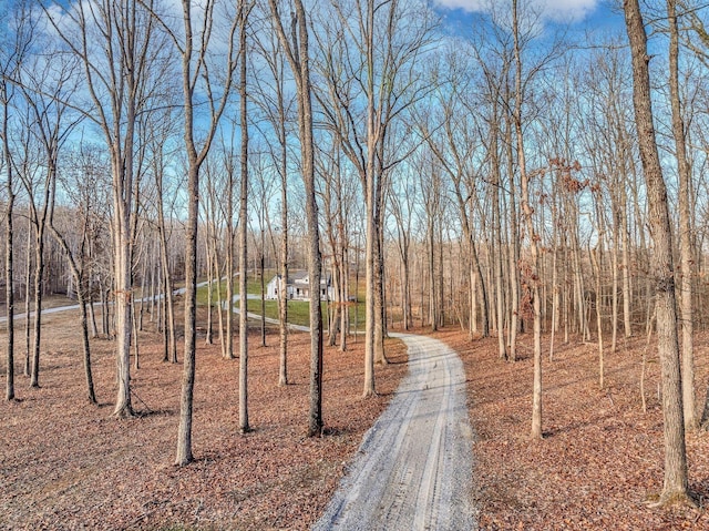 673 Billy Wynn Rd, Dickson, TN 37055 - view of street