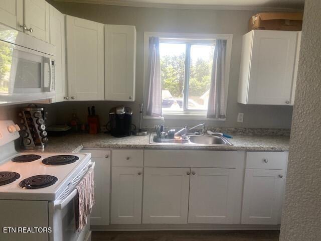 178180 Hillside Rd, Oak Ridge, TN 37830 - photo 10