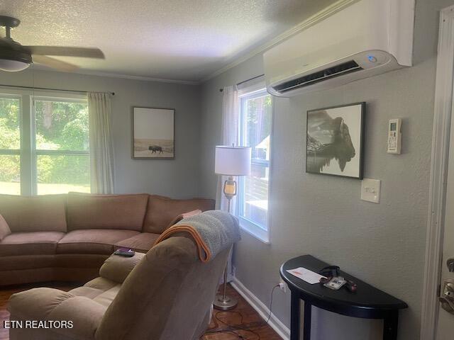 178180 Hillside Rd, Oak Ridge, TN 37830 - photo 13