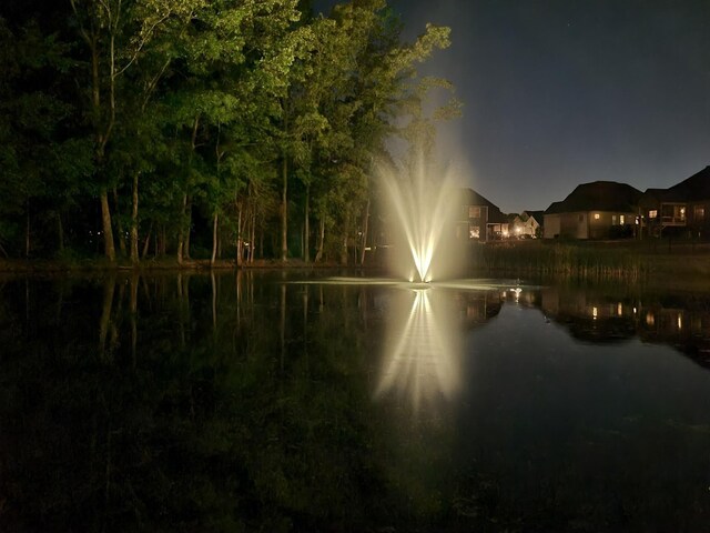 1205 Chagford Dr, Clarksville, TN 37043 - photo 56