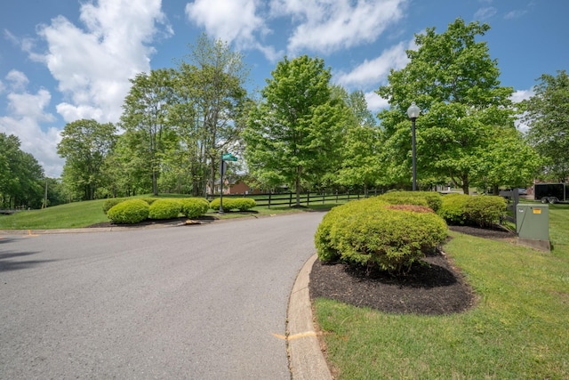 1036 Wilderness Way, Cottontown, TN 37048 - view of asphalt road featuring street lighting, curbs, and view of wooded area