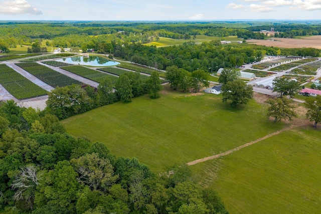 217 Cripps Ln, Smithville, TN 37166 - photo 41