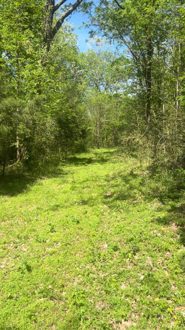 0 Wolf Hill Rd, Bethpage, TN 37022 - photo 4