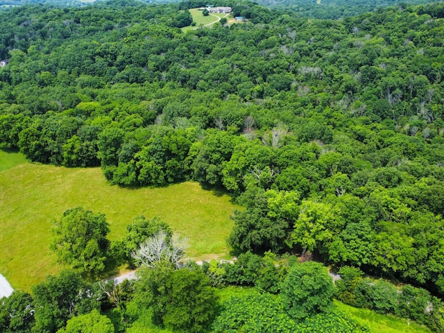 0 Wolf Hill Rd, Bethpage, TN 37022 - photo 1
