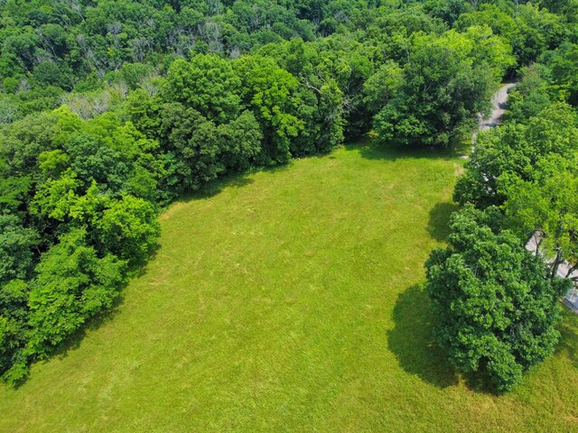 0 Wolf Hill Rd, Bethpage, TN 37022 - photo 3