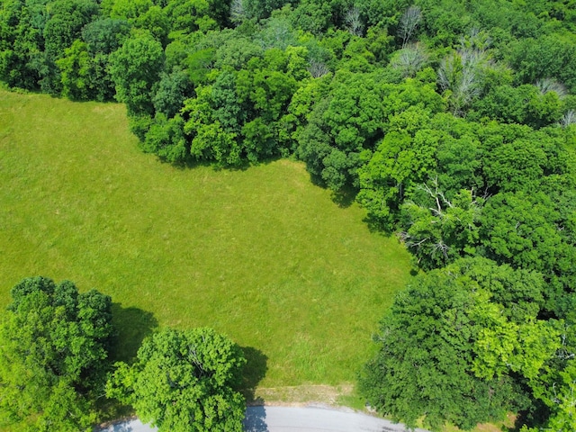 0 Wolf Hill Rd, Bethpage, TN 37022 - photo 2