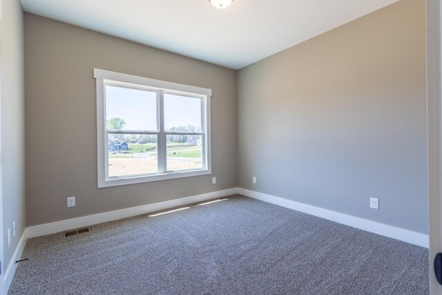 1137 Goose Dr, Springfield, TN 37172 - spare room featuring carpet flooring