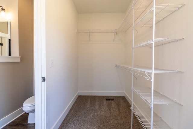 1137 Goose Dr, Springfield, TN 37172 - spacious closet featuring carpet floors