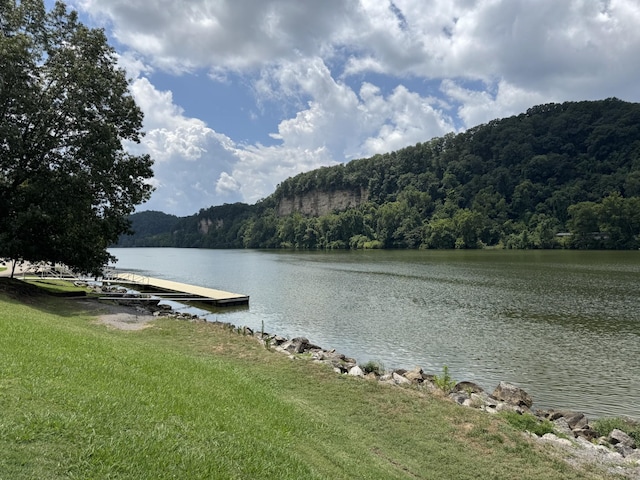 144 Maple Dr, Ashland City, TN 37015 - photo 32