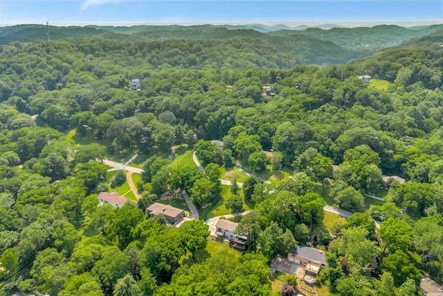 1204 Brentwood Ln, Brentwood, TN 37027 - photo 67