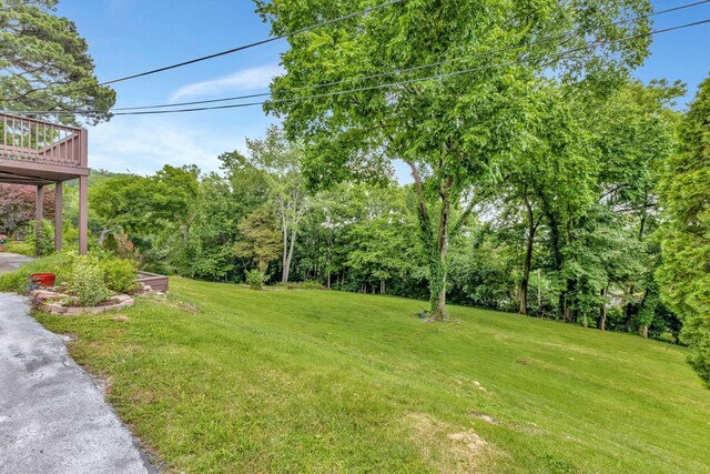 1204 Brentwood Ln, Brentwood, TN 37027 - photo 53