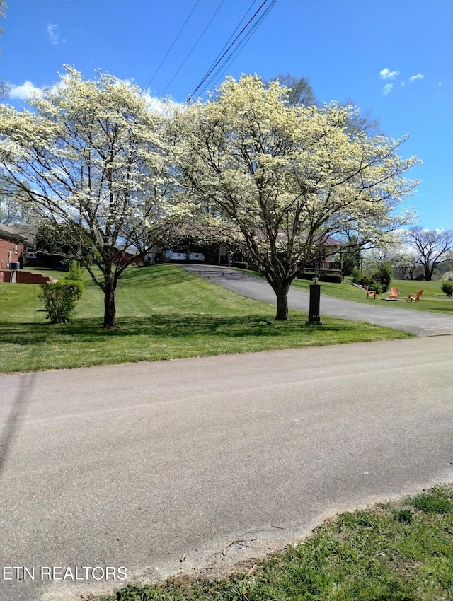 311 E Chestnut Hill Rd, Townsend, TN 37882 - view of asphalt road
