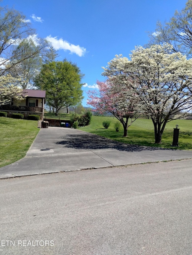 311 E Chestnut Hill Rd, Townsend, TN 37882 - view of concrete surface