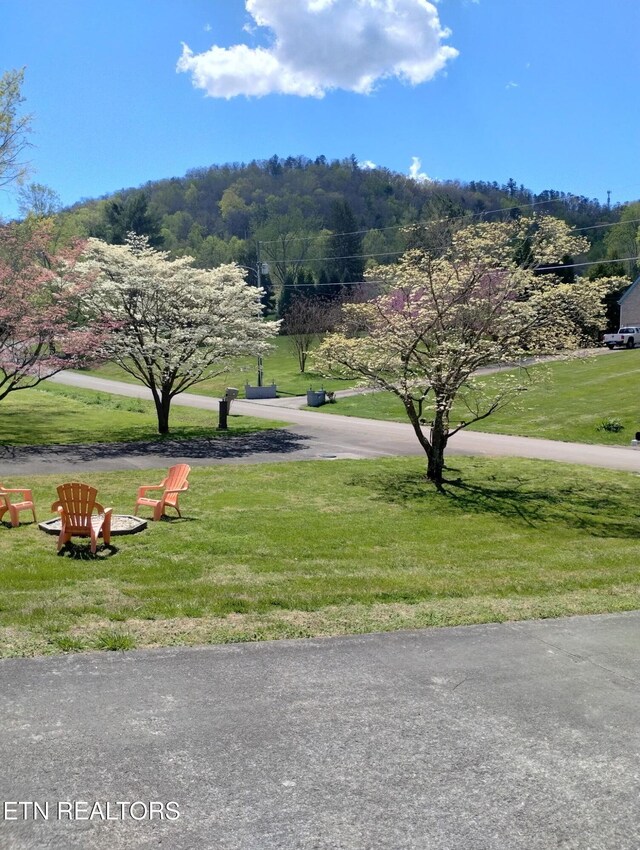 311 E Chestnut Hill Rd, Townsend, TN 37882 - surrounding community with a lawn