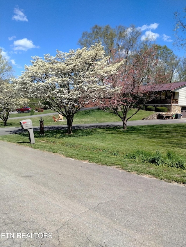 311 E Chestnut Hill Rd, Townsend, TN 37882 - view of road