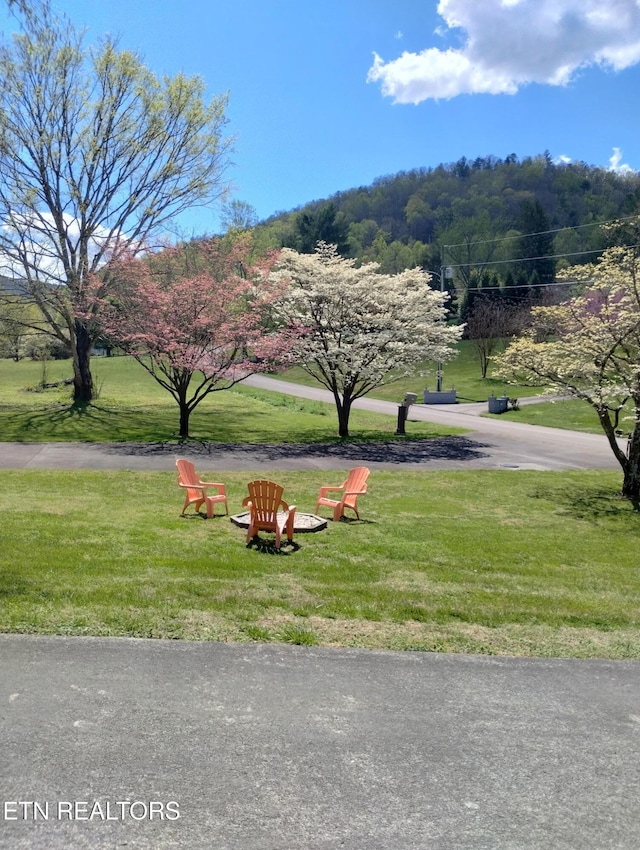 311 E Chestnut Hill Rd, Townsend, TN 37882 - surrounding community with a yard