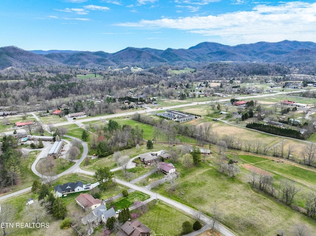 311 E Chestnut Hill Rd, Townsend, TN 37882 - bird's eye view of mountains