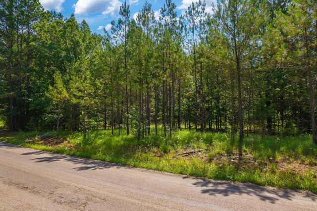 0 Gay Thompson Rd, Ramer, TN 38367