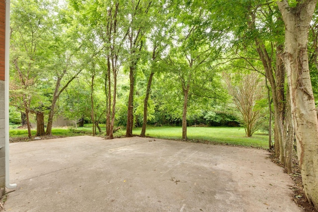 2420 Pafford Dr, Nashville, TN 37206 - photo 27